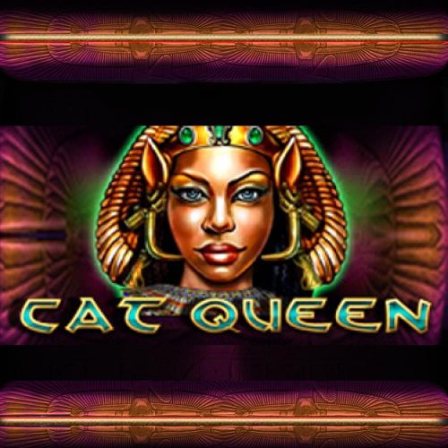 100Cuci - Cat Queen - 100cuci