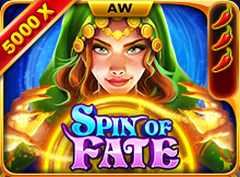 100Cuci - Spin of Fate - 100cuci