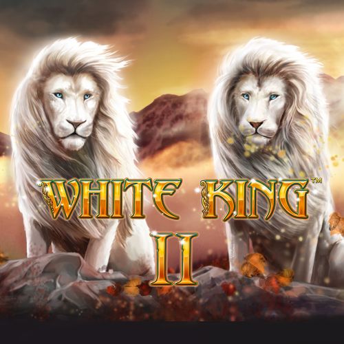 100Cuci - White King 2 - 100cuci