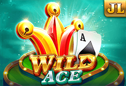 100Cuci - Wild Ace - 100cuci