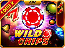 100Cuci - Wild Chips - 100cuci